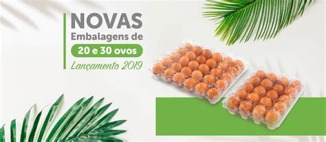 Embalagens Para Ovos De Galinha E Codorna Blystersul