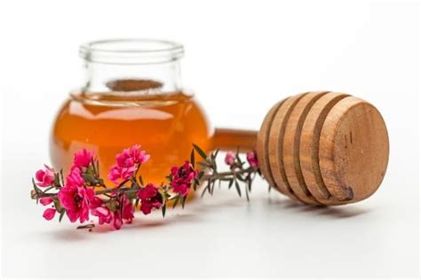 Miel de Manuka qué es y cómo utilizarla Vivir Mejor