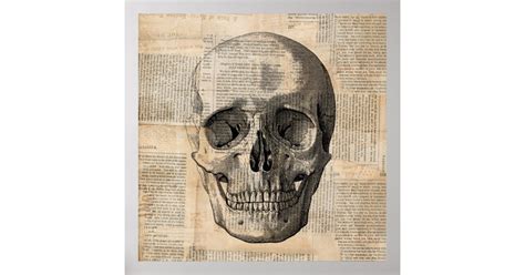 Antique Skull Illustration Vintage Art News Print | Zazzle