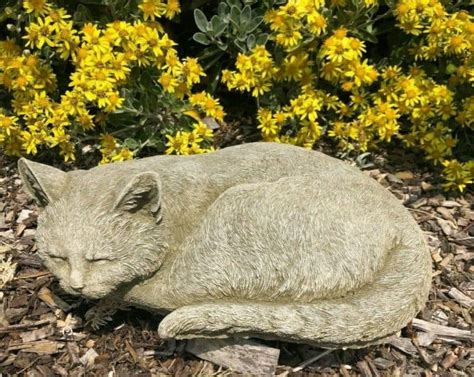 Curled Up Cat Stone Statue Burgess Home And Garden