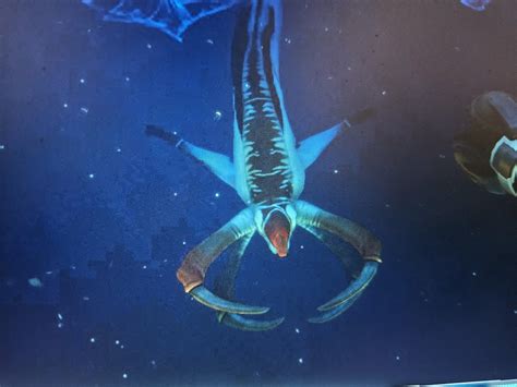 First leviathan down : r/subnautica