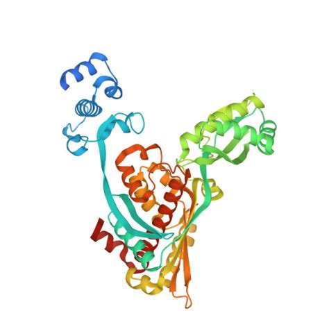 Rcsb Pdb Dqa Complex Of The Catalytic Portion Of Human Hmg Coa