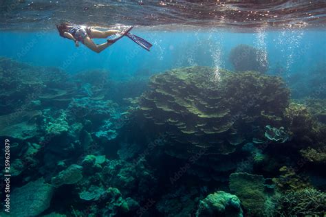 Palmyra Atoll National Wildlife Refuge Part Of Pacific Remote Islands Marine National Monument