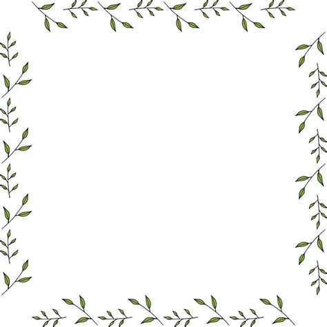 Ramos Molduras - moldura quadrada feita de diferentes ramos verdes. vetor em branco para ...
