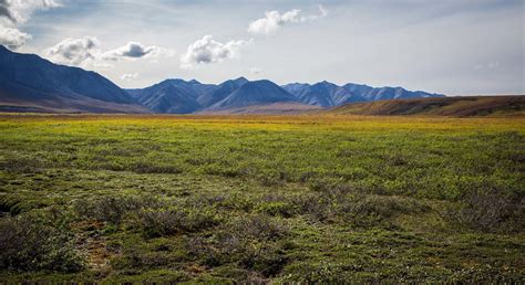 Arctic National Wildlife Refuge Audubon Alaska