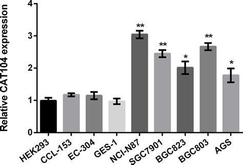 Human Gc Cell Lines Nci N87 Atcc Bioz