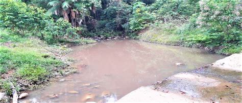 Finca San Cristóbal Vereda Táguales bajo municipio de San Vicente de