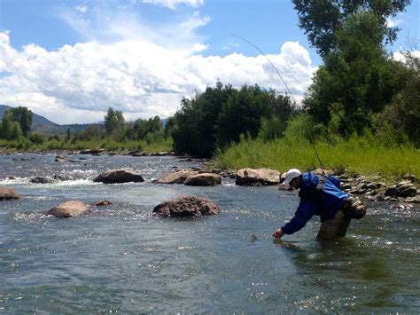 Jealous Of Ellis Fly Fishing Gateview