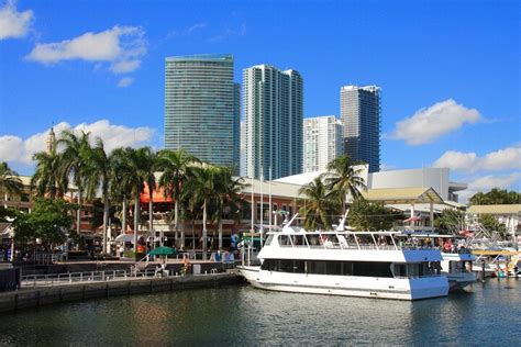 Passeio Turístico Sightseeing Bus e Cruzeiro em Miami Hellotickets