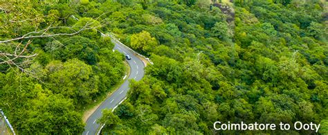 Coimbatore To Ooty Taxi Fare Coimbatore Airport To Ooty Taxi