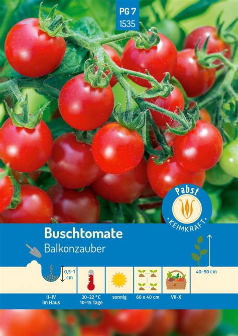 Tomate Balkonzauber Samen Tomatensamen Kaufland De