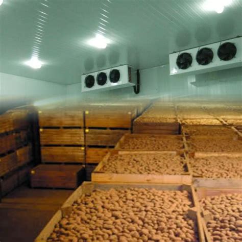 1500 Mt Potato Cold Storage In Bawana Delhi Ahata Industries