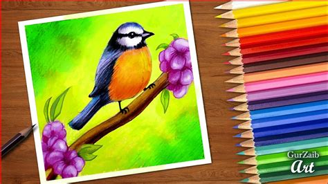 How To Draw Spring Bird Colored Pencils Tutorial Bird Sitting On