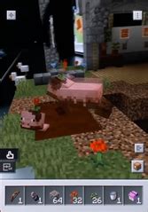 Earth:Muddy Pig – Minecraft Wiki