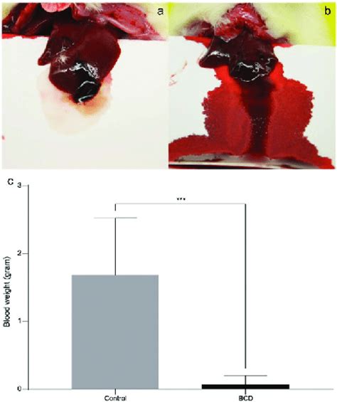 In Vivo Instant Hemostatic Ability Evaluation Of Bcd Tissue Glue A