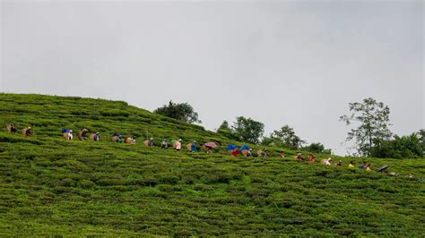 Sikkimese Cuisine: Top 11 Famous Food of Sikkim