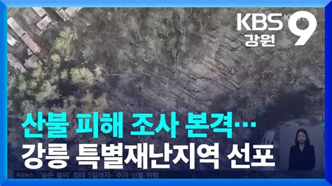 강릉 경포 산불 피해 조사 본격특별재난지역 선포 Kbs 20230412 Youtube