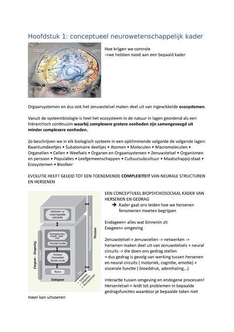 Gedragsneuro Samenvatting Hoofdstuk Conceptueel