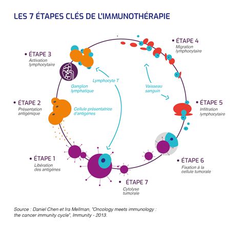 L Immunoth Rapie Leem