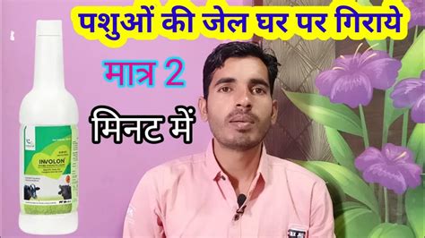 Involon Ds Syrup Vet पशुओं की जेर गिराने की आयुर्वेदिक दवा Youtube