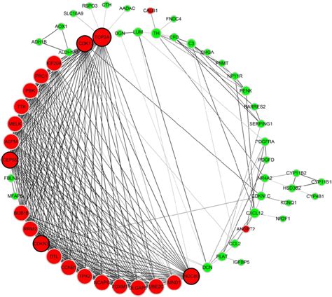 Protein Protein Interaction Network Of 87 Degs Using String Network