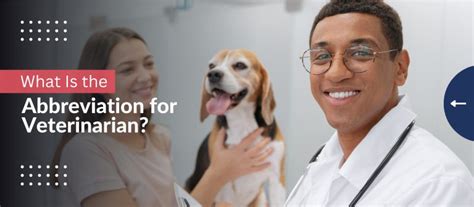 What Does Dmv Stand For Veterinary Doctor Of Veterinary Medicine Explained