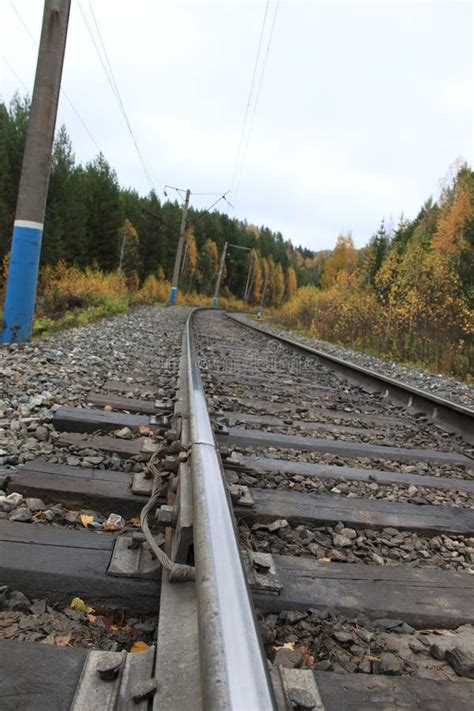 Railroad Stock Photo Image Of Ground Change Cold Colors