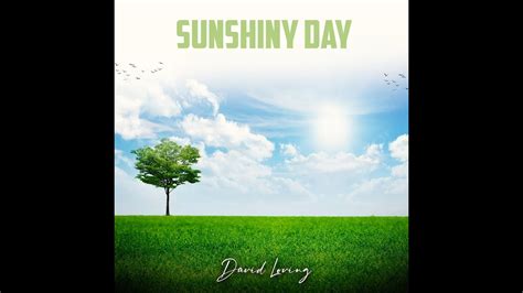 Sunshiny Day Official Lyric Video YouTube