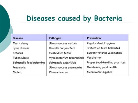 Ppt Chapter 19 Bacteria And Viruses Powerpoint Presentation Free Download Id9314057