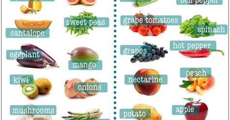 Fruits Veggies With The Most Least Trace Pesticides Infographic