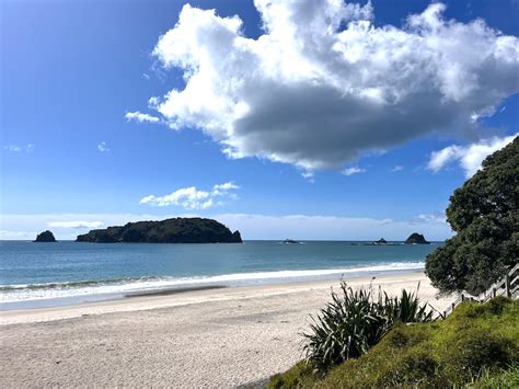 17 of the Best Coromandel Beaches - Ultimate Summer Guide