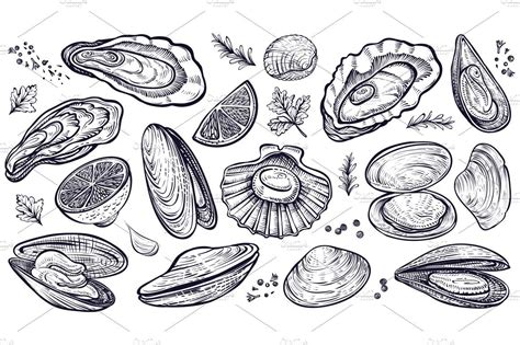 Vector Sketch Of Shellfish And Oysters Vector Sketch Drawing Set Oysters