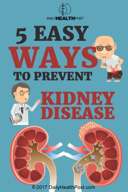 5 Easy Ways To Prevent Kidney Disease