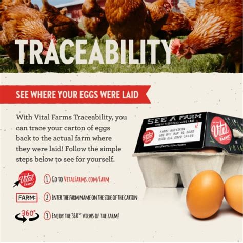 Vital Farms® Pasture Raised Large Brown Organic Eggs 12 Ct Fred Meyer