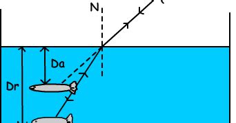 Apparent Depth Real Depth | GCSE Physics