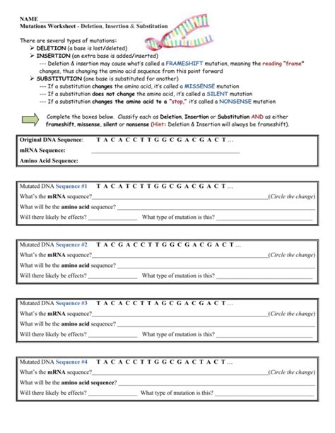 Mutations Worksheet