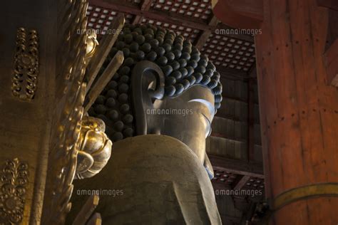 東大寺盧遮那仏 26089005013 の写真素材・イラスト素材｜アマナイメージズ