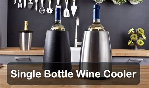 10 Best Single Bottle Wine Cooler Reviews of 2024