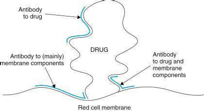 Autoimmune Hemolytic Anemias Clinical Tree