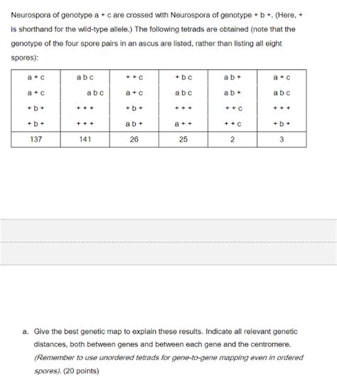 Solved 38 Neurospora Of Genotype A C Are Crossed With Chegg