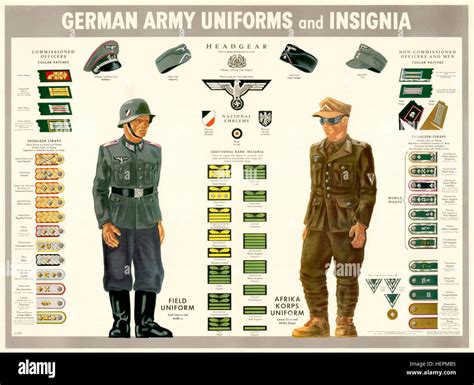 Wehrmacht uniforms and insignia Stock Photo, Royalty Free Image ...