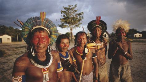 The last ones remaining: The plight of native Amazonian tribes