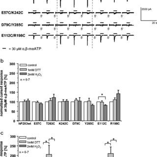 Ec Value Based Double Mutant Cycle Analysis Of Hp X Cysteine Single