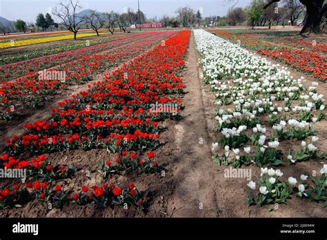 Kashmirs Natural Beauty Hi Res Stock Photography And Images Alamy