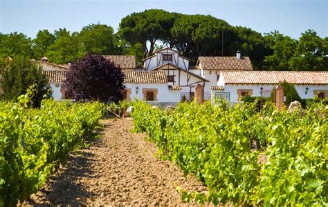 Dehesa De Los Can Nigos En Valladolid Vinos D O Ribera Del Duero