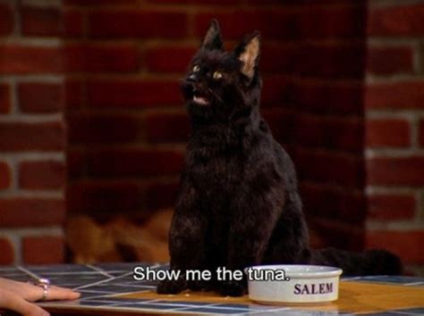 The 40 Greatest Things Ever Said By Salem The Cat Salem Cat Cat