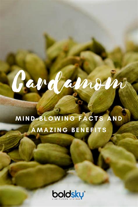 Mind Blowing Facts And Health Benefits Of Cardamom Elaichi