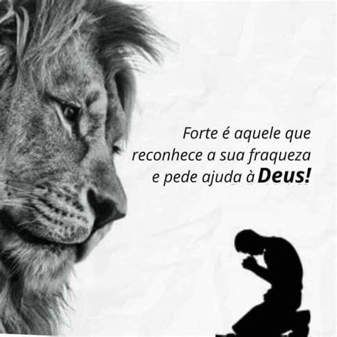 Forte Aquele Que Reconhece A Sua Fraqueza E Pede Ajuda Deus Lion