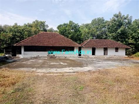 13 Acre Farm House Land For Sale In Palakkad Palakkad FarmAds In