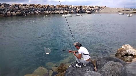 Pesca Bolognese Dalla Scogliera Orata Al Volo Youtube